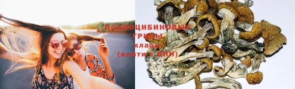 мефедрон мука Гусь-Хрустальный