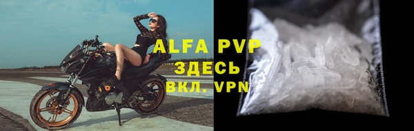 круглые Гусев