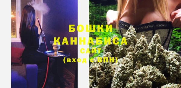 круглые Гусев