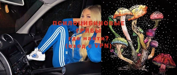 таблы Сосновка