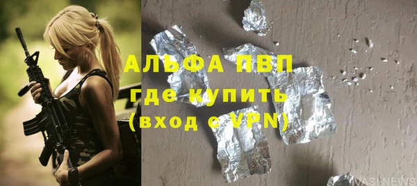 круглые Гусев