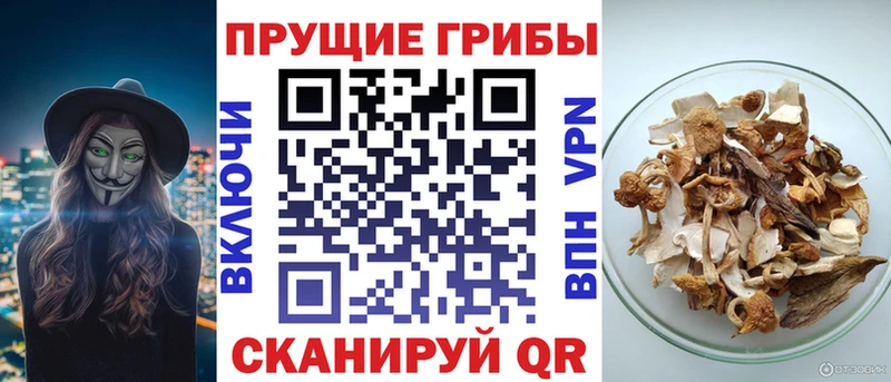 Псилоцибиновые грибы GOLDEN TEACHER  Губаха 