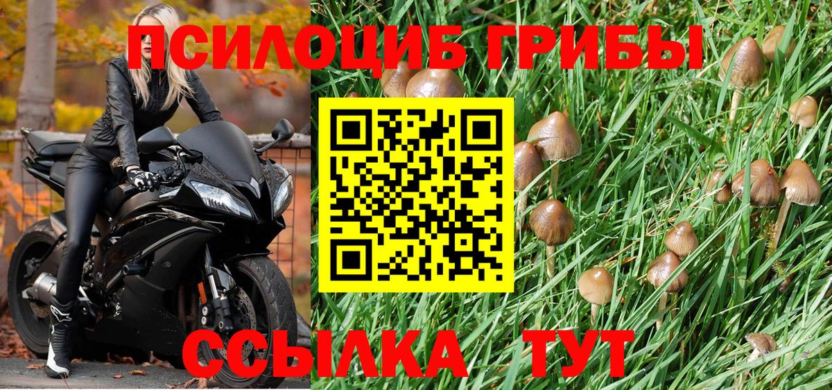 Псилоцибиновые грибы мухоморы  Губаха  наркотики  Галлюциногенные грибы GOLDEN TEACHER 