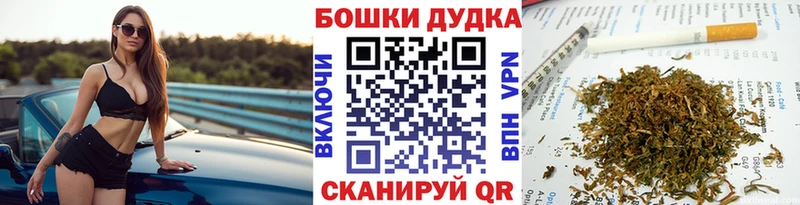 купить Губаха Бошки Шишки индика